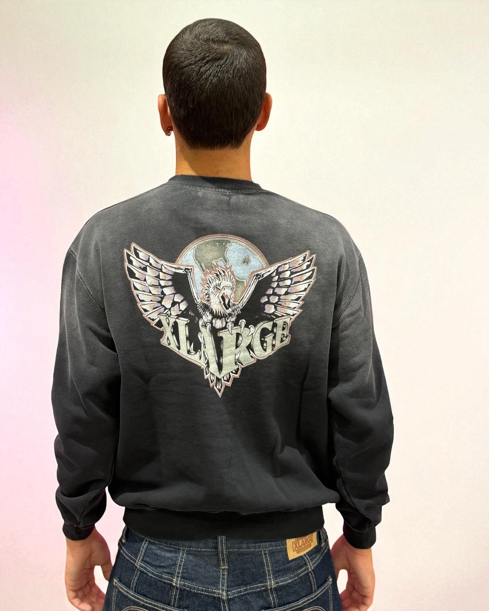 EAGLE WINGS CREWNECK