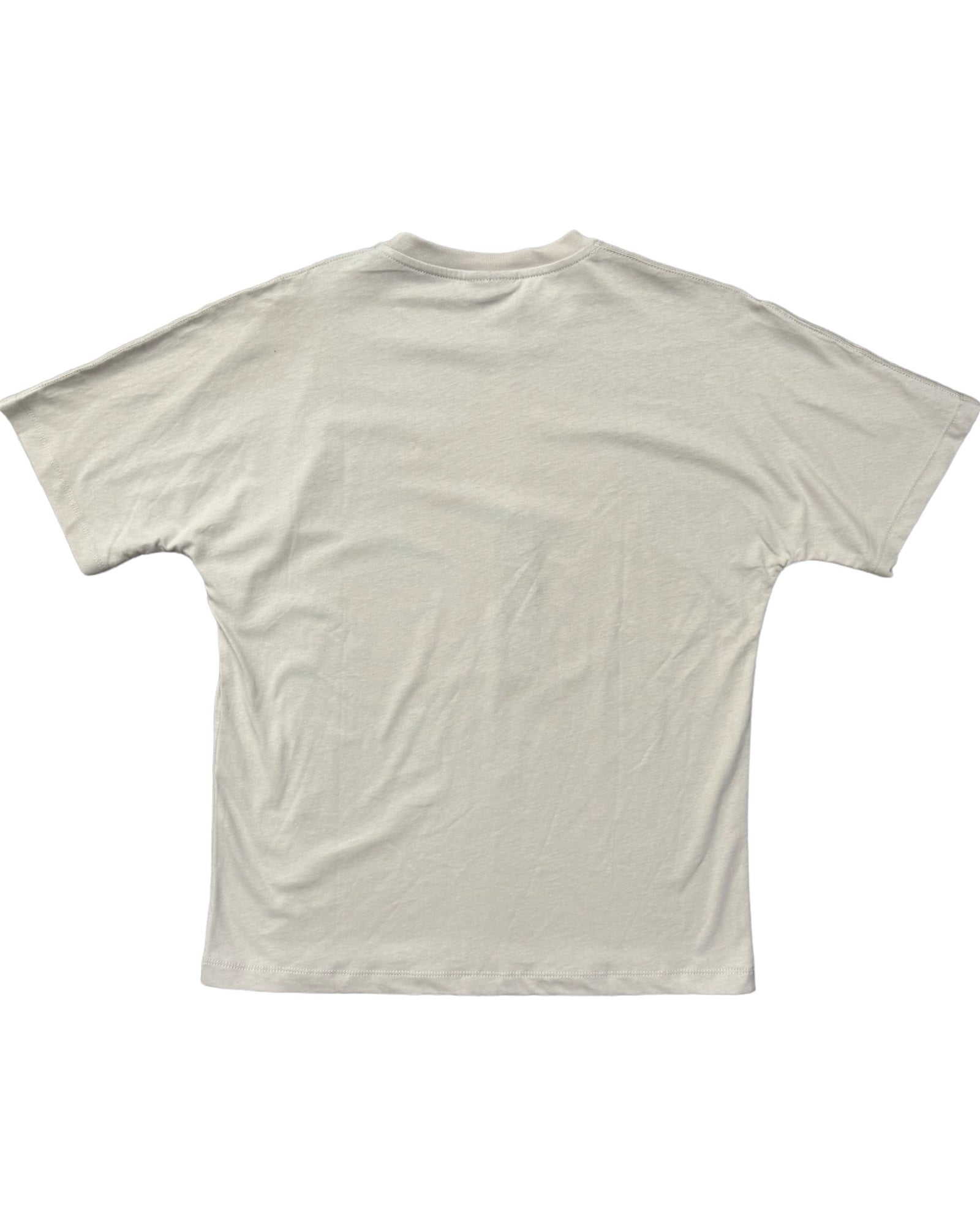 TEE BEIGE FEEL ALIVE DISCLAIMER