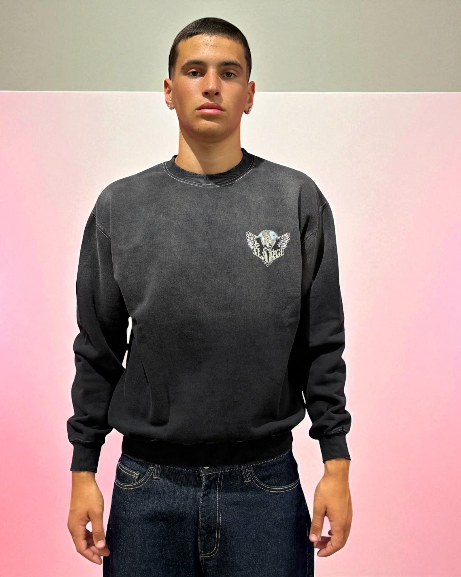 EAGLE WINGS CREWNECK