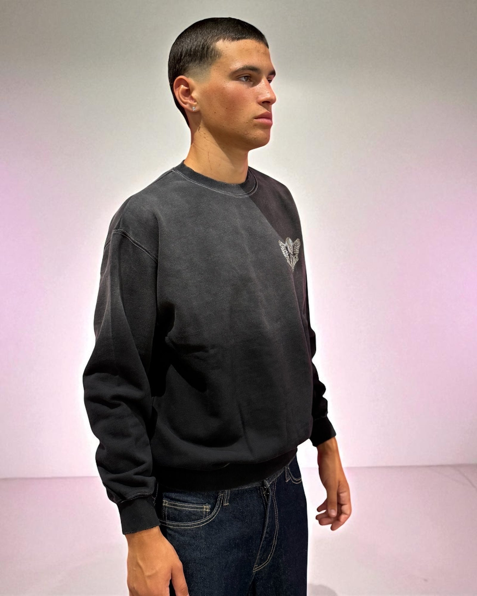 EAGLE WINGS CREWNECK
