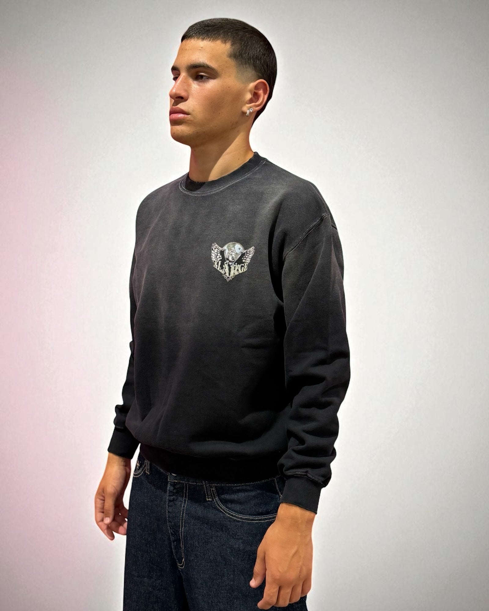 EAGLE WINGS CREWNECK